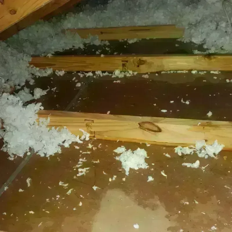 Attic Water Damage in Coryell County, TX